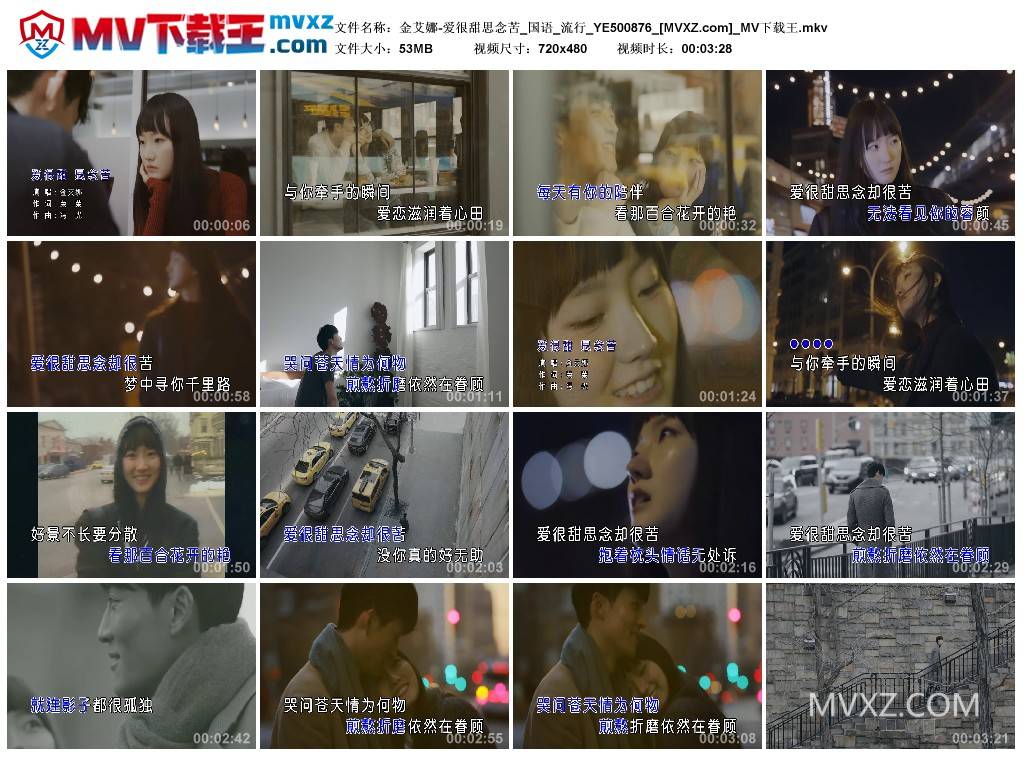 金艾娜-爱很甜思念苦_国语_流行_YE500876